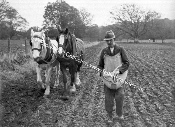 SOWING NEAR DAIRY HILL